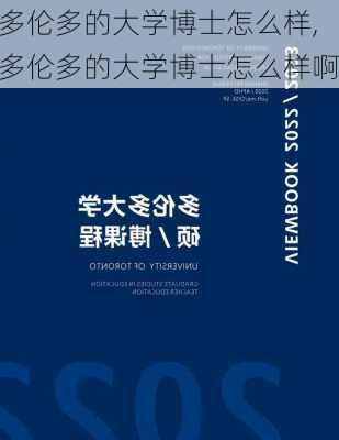 多伦多的大学博士怎么样,多伦多的大学博士怎么样啊