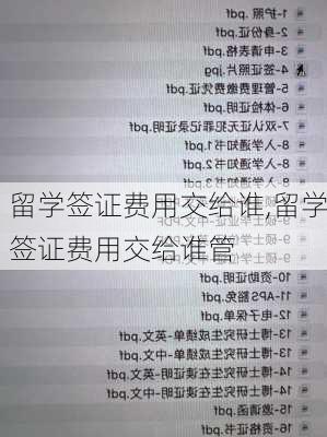 留学签证费用交给谁,留学签证费用交给谁管