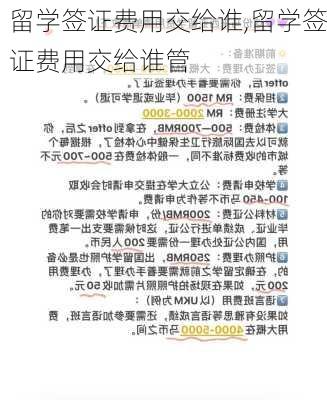 留学签证费用交给谁,留学签证费用交给谁管