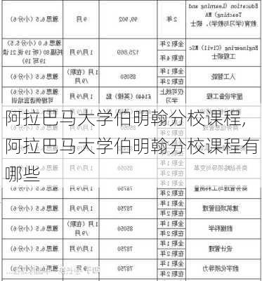 阿拉巴马大学伯明翰分校课程,阿拉巴马大学伯明翰分校课程有哪些