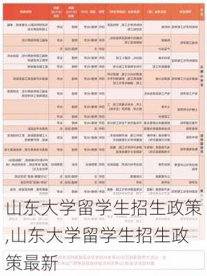 山东大学留学生招生政策,山东大学留学生招生政策最新