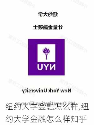 纽约大学金融怎么样,纽约大学金融怎么样知乎