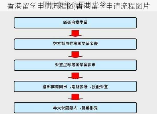 香港留学申请流程图,香港留学申请流程图片