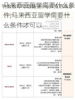 马来西亚留学需要什么条件,马来西亚留学需要什么条件才可以