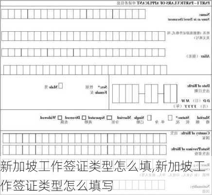 新加坡工作签证类型怎么填,新加坡工作签证类型怎么填写