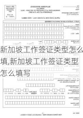 新加坡工作签证类型怎么填,新加坡工作签证类型怎么填写