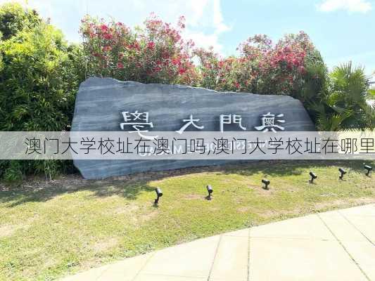 澳门大学校址在澳门吗,澳门大学校址在哪里