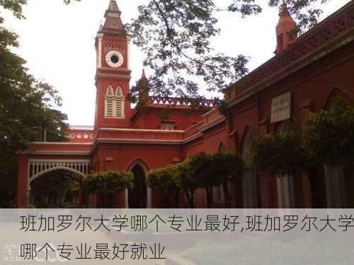 班加罗尔大学哪个专业最好,班加罗尔大学哪个专业最好就业