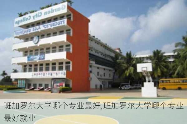 班加罗尔大学哪个专业最好,班加罗尔大学哪个专业最好就业