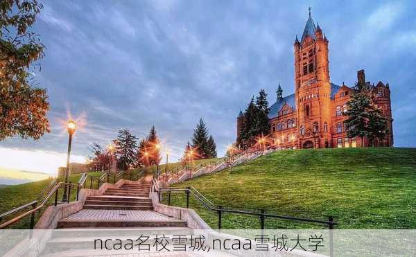 ncaa名校雪城,ncaa雪城大学