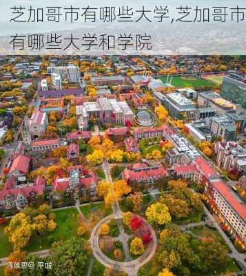 芝加哥市有哪些大学,芝加哥市有哪些大学和学院