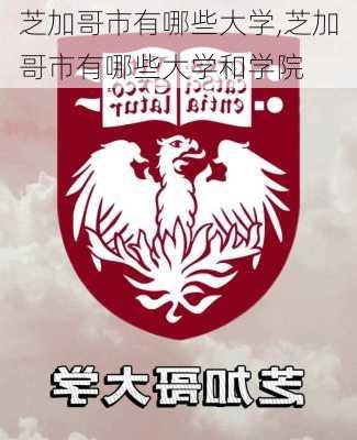 芝加哥市有哪些大学,芝加哥市有哪些大学和学院