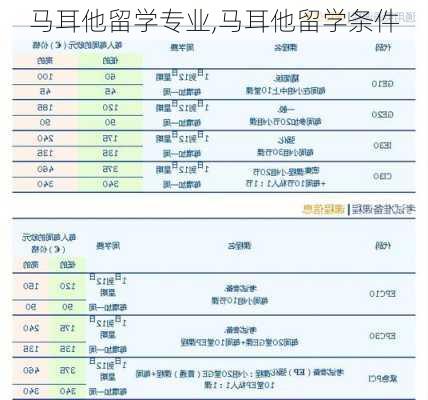 马耳他留学专业,马耳他留学条件