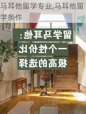 马耳他留学专业,马耳他留学条件