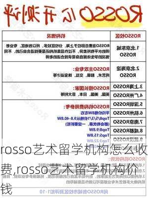 rosso艺术留学机构怎么收费,rosso艺术留学机构价钱