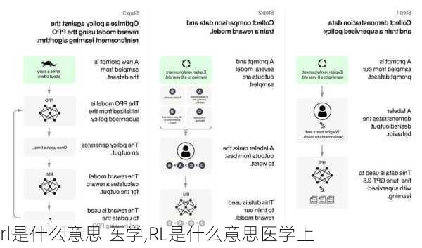 rl是什么意思 医学,RL是什么意思医学上