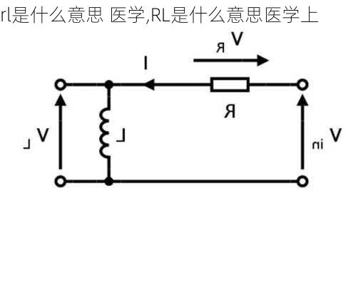 rl是什么意思 医学,RL是什么意思医学上