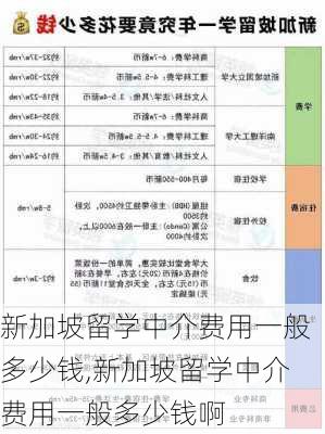 新加坡留学中介费用一般多少钱,新加坡留学中介费用一般多少钱啊