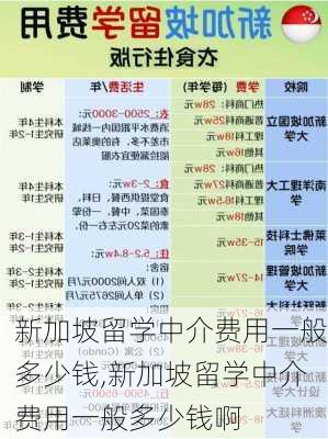 新加坡留学中介费用一般多少钱,新加坡留学中介费用一般多少钱啊