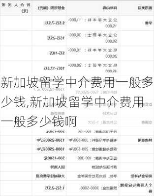 新加坡留学中介费用一般多少钱,新加坡留学中介费用一般多少钱啊