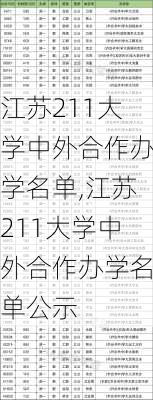 江苏211大学中外合作办学名单,江苏211大学中外合作办学名单公示