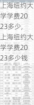 上海纽约大学学费2023多少,上海纽约大学学费2023多少钱