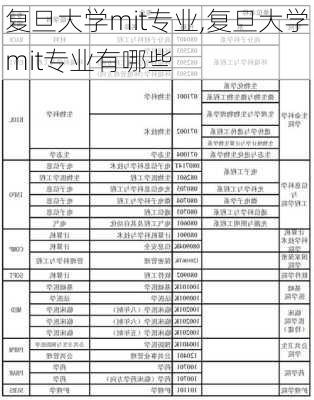 复旦大学mit专业,复旦大学mit专业有哪些