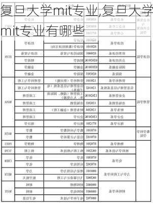 复旦大学mit专业,复旦大学mit专业有哪些