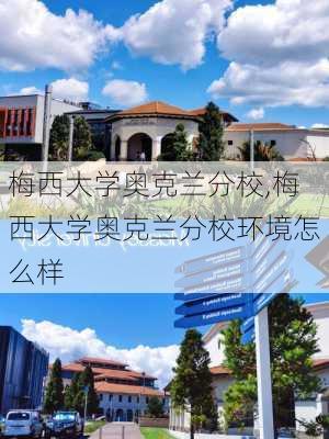 梅西大学奥克兰分校,梅西大学奥克兰分校环境怎么样