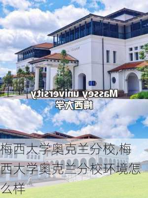 梅西大学奥克兰分校,梅西大学奥克兰分校环境怎么样