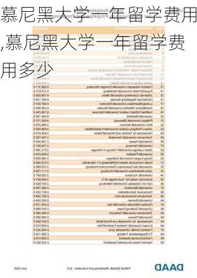 慕尼黑大学一年留学费用,慕尼黑大学一年留学费用多少