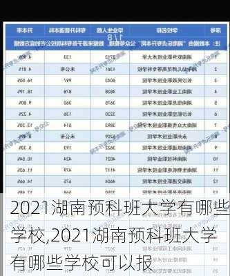 2021湖南预科班大学有哪些学校,2021湖南预科班大学有哪些学校可以报