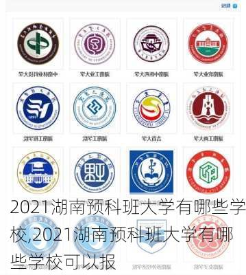 2021湖南预科班大学有哪些学校,2021湖南预科班大学有哪些学校可以报