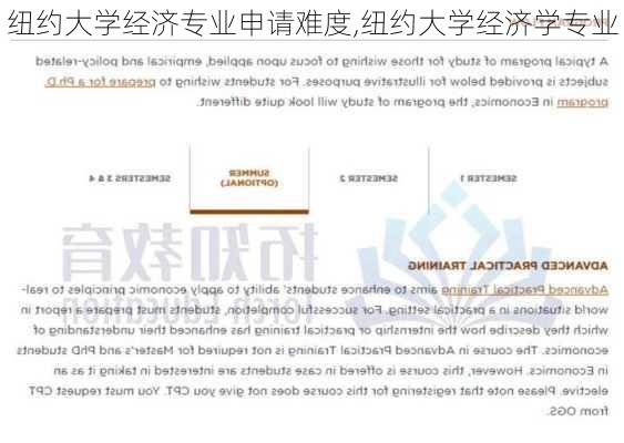 纽约大学经济专业申请难度,纽约大学经济学专业