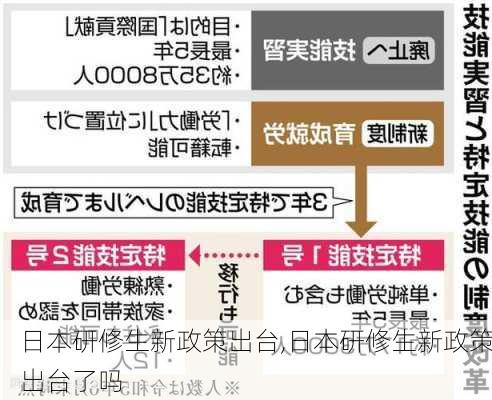 日本研修生新政策出台,日本研修生新政策出台了吗