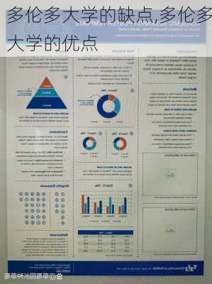 多伦多大学的缺点,多伦多大学的优点