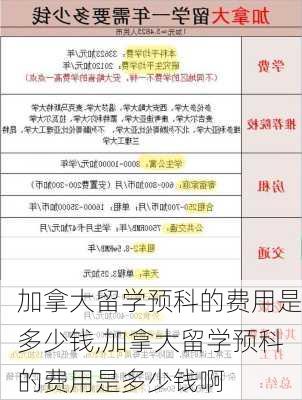 加拿大留学预科的费用是多少钱,加拿大留学预科的费用是多少钱啊