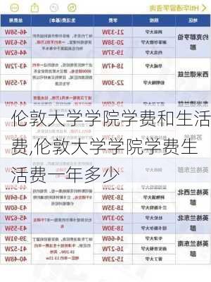 伦敦大学学院学费和生活费,伦敦大学学院学费生活费一年多少