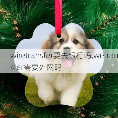 wiretransfer要去银行吗,wetransfer需要外网吗