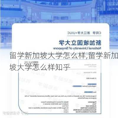 留学新加坡大学怎么样,留学新加坡大学怎么样知乎