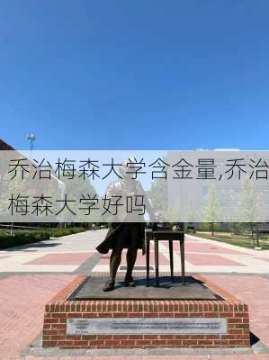 乔治梅森大学含金量,乔治梅森大学好吗