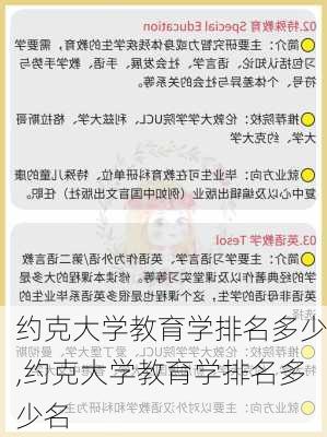 约克大学教育学排名多少,约克大学教育学排名多少名