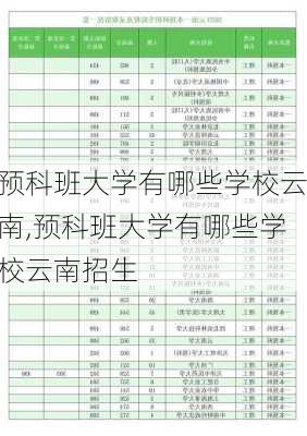 预科班大学有哪些学校云南,预科班大学有哪些学校云南招生