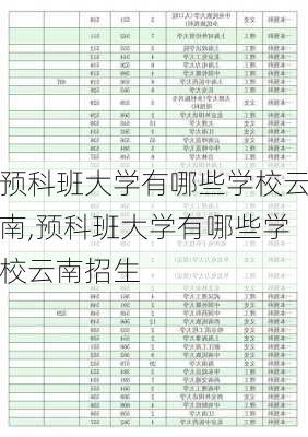 预科班大学有哪些学校云南,预科班大学有哪些学校云南招生