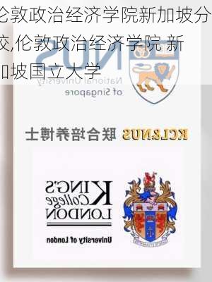 伦敦政治经济学院新加坡分校,伦敦政治经济学院 新加坡国立大学