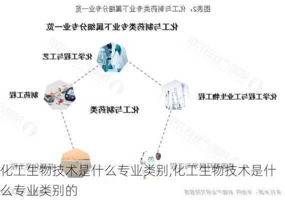 化工生物技术是什么专业类别,化工生物技术是什么专业类别的