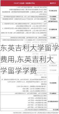 东英吉利大学留学费用,东英吉利大学留学学费