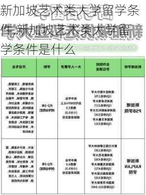 新加坡艺术类大学留学条件,新加坡艺术类大学留学条件是什么