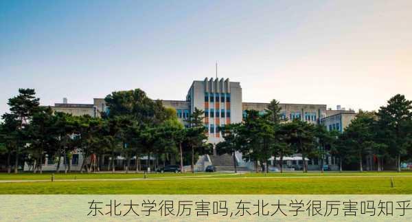 东北大学很厉害吗,东北大学很厉害吗知乎