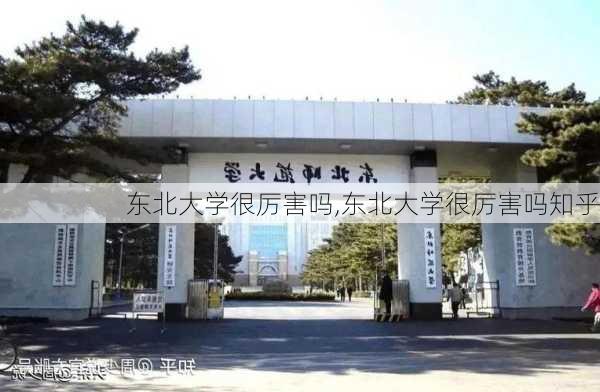 东北大学很厉害吗,东北大学很厉害吗知乎